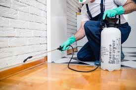 Best Residential Pest Control  in Moody, TX